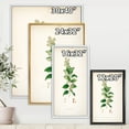 thumbnail image 4 of Designart 'Ancient Botanicals XVII' Farmhouse Framed Canvas Wall Art Print, 4 of 5