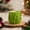 Green GN, variant on Gecau Christmas Pillar Wax Christmas Tree Aromatherapy Candles Handheld Gift Gentle And Non Pungent Home Decoration Green 2.8x2.8 Inch