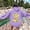 Purple, variant on Women's Hoodies Sweatshirts You I'm Sorry Women's Casual Sweatshirt Hoodies White S