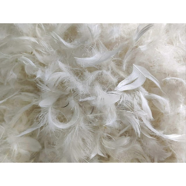 Goose Feathers Feather Down Loose Feathers Filling For Or Duvets 90% Goose Feather 10% Goose Down Pillow Filling
