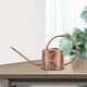 thumbnail image 1 of Stainess Steel 1.3L Regadera Impresión interior Boquilla delgada Riego Bonsai Plantas suculentas pequeñas Plantas de interior Hierbas para Bronce DYNWAVEMX regadera de caño largo, 1 of 8