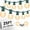 Frosted White-Green, variant on G40 Outdoor Globe String Lights, 25ft Hanging Patio Lights with 27 Incandescent Bulbs (2 Spare), Connectable Backyard Bistro Wedding Decor, E12 Base, 5W-Black Wire