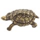 thumbnail image 4 of Manija de puerta de tortuga creativa, perilla de gabinete de animales única, perilla de gabinete suave para cajón y armario, tirador de muebles de latón, 4 of 4