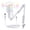 White(Arm Stand), variant on ONIKUMA USB Gaming Microphone with Boom Arm, Noise-Cancelling Condenser Mic for Streaming, Podcast, PC, Mac, PS4/PS5