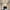 Gold, variant on LongLiYi Christmas Gifts Clearance Corridor Lights Balcony Porch Lights Entrance Lights Modern and Crystal Lights Light In The Bedroom Ceiling Lights.