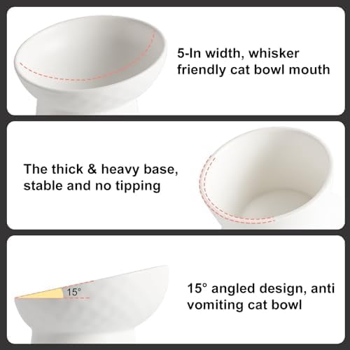 Small Raised Cat Bowls, Ceramic Tilted Elevated Food or Water Bowls, Stress Free, Backflow Prevention, Dishwasher & Microwave Safe, Lead & Cadmium Free, White