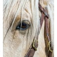 thumbnail image 2 of Jaynes Gallery 15x16 White Modern Wood Framed Museum Art Print Titled - Arizona-Scottsdale Close-up of horses eye and bridle, 2 of 4