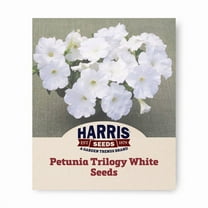 Harris Seeds - Petunia Trilogy White F1 Seeds - Outdoor Spring Flower - 100 Seeds