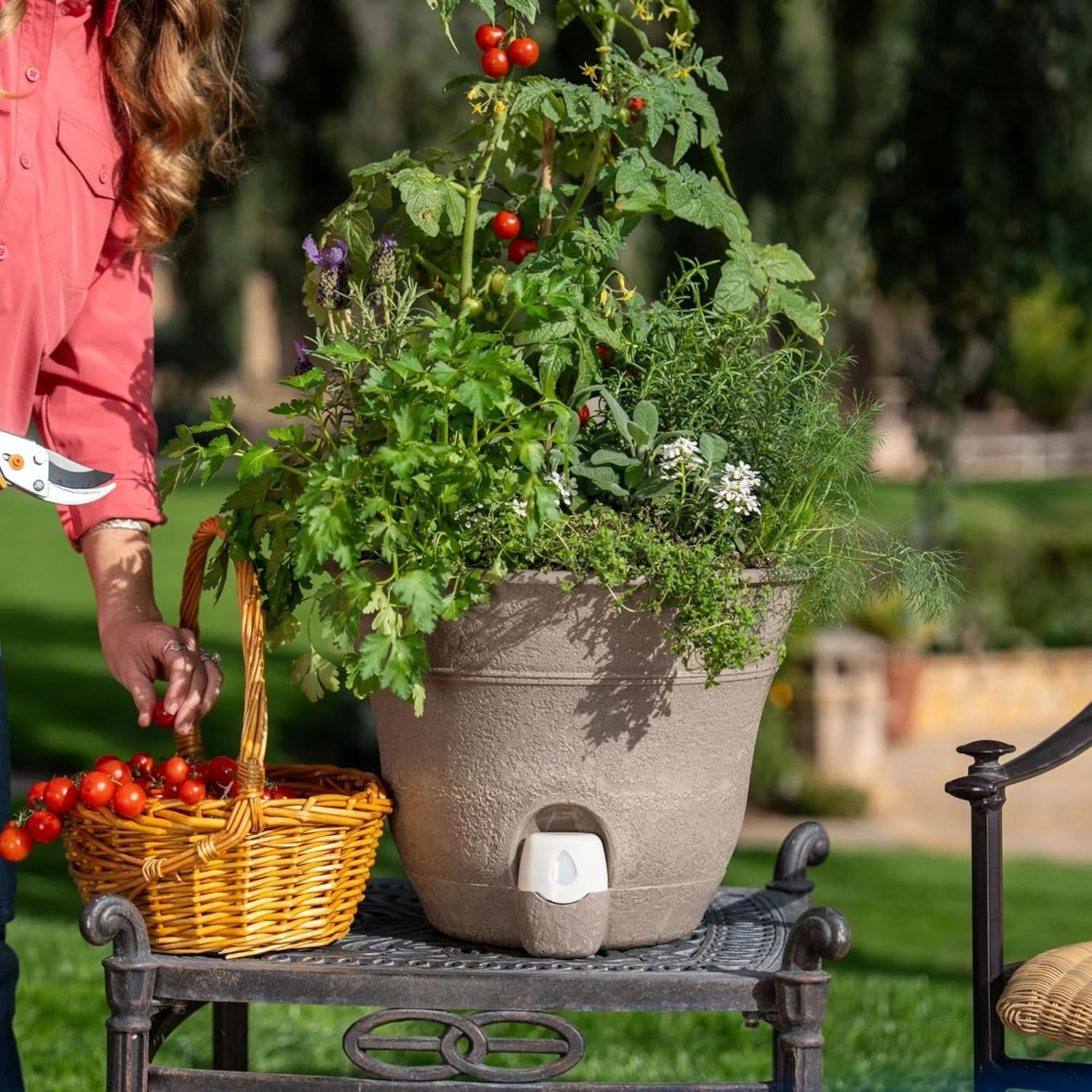 FirmaStone 15" Self-Watering Planters - Thumbnail 4