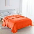 thumbnail image 4 of SPOORYYO Super Soft Facecloth Corals Velvet Air Conditioning Fleece Blanket for All Season Use, 4 of 6