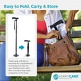 HurryCane HurryCane Freedom Edition Folding Cane with T Handle, Purple