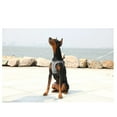 thumbnail image 2 of PETKIT Air Fly Pet Harness, Medium, Breathable, Light Foam, Shock Absorbent (Medium), 2 of 6