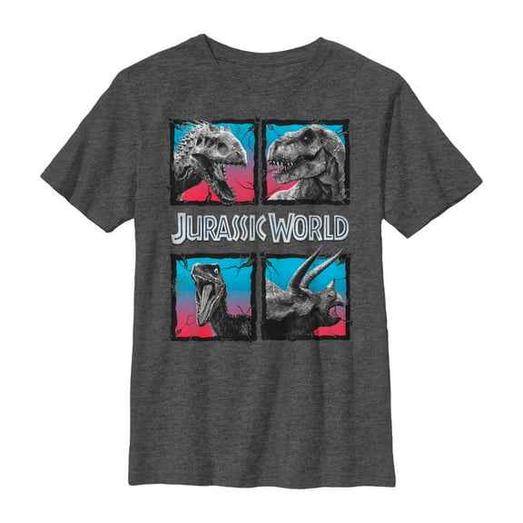 Boy's Jurassic World Dinosaur Cracked Boxes Graphic Tee Charcoal Heather Medium
