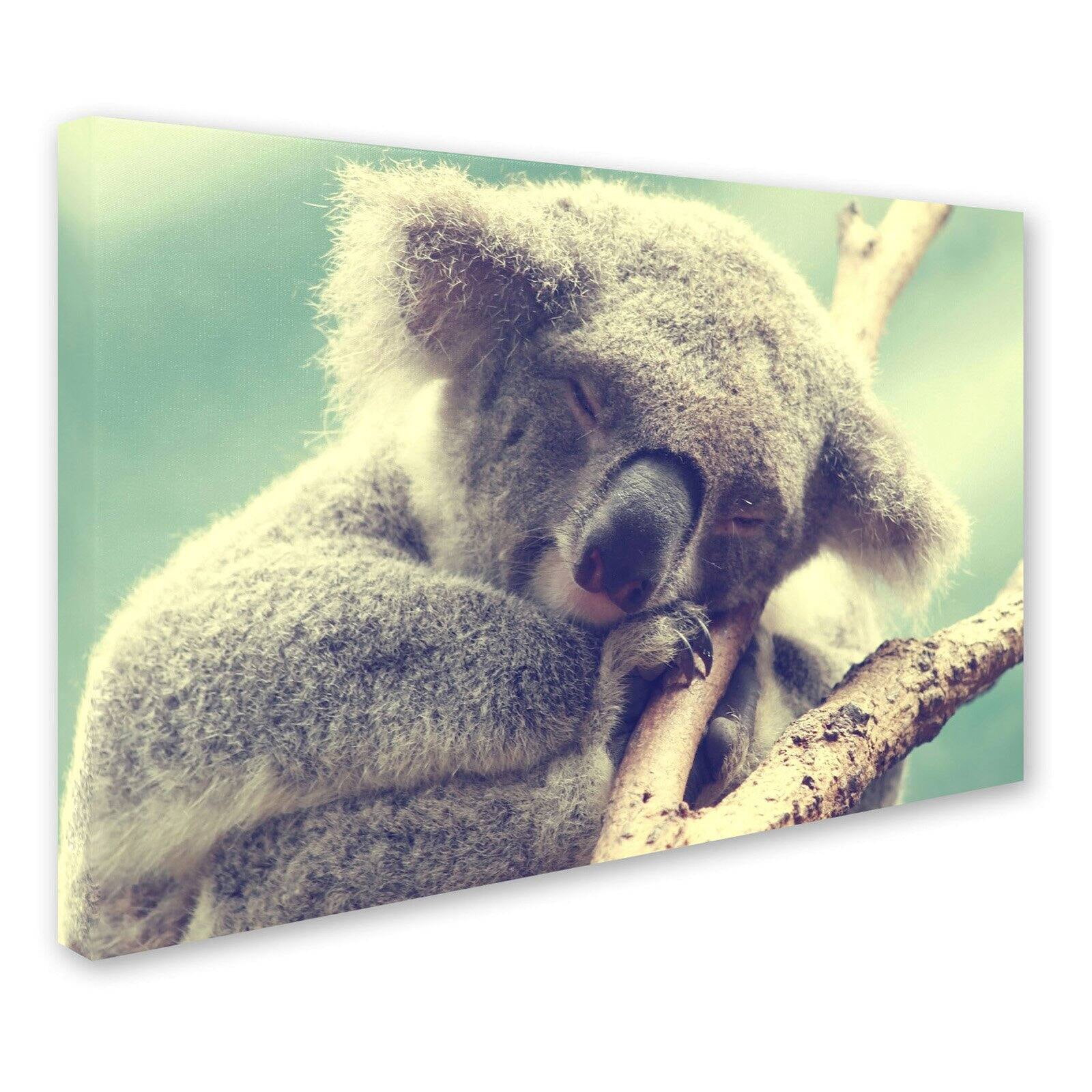 Trademark Fine Art "Sleepy Head" Canvas Art by Beata Czyzowska Young