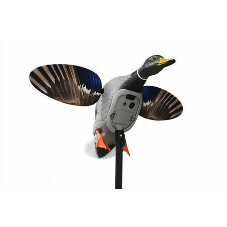 UPC: 0816740004433 | Mojo Outdoors Series King Mallard Spinning Wing Motion Decoy with 6V Li-ion Battery