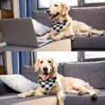 thumbnail image 4 of Accesorios Para Perros Gato Algodón Estilo Cuadros Paliacate, 4 of 8