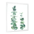 thumbnail image 3 of Designart 'Green Eucalyptus Branch' Tropical Framed Art Print, 3 of 4