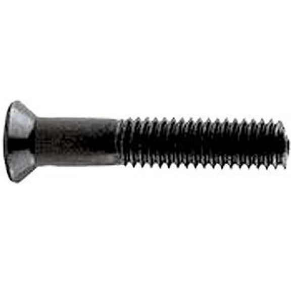 Standard Phillips Bolt 1 Inch Black