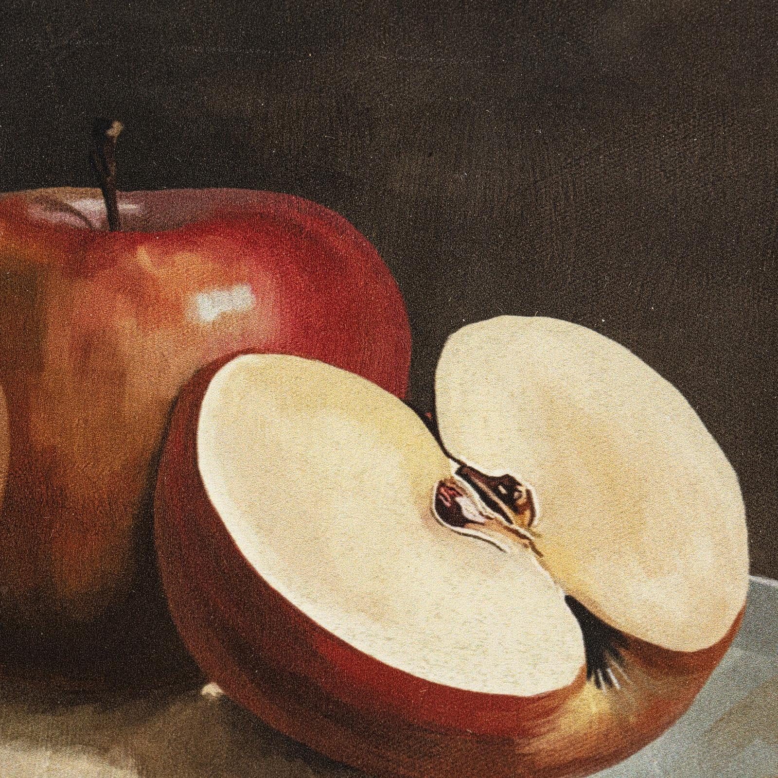 My Texas House Still Apples & Pears Framed Art 2pc Set 12x10