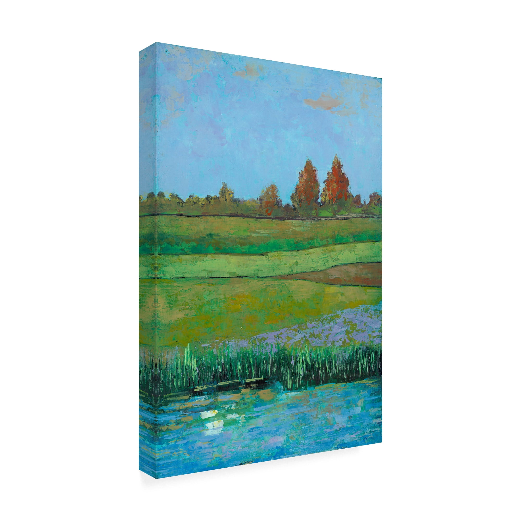 Trademark Fine Art 'Impressionist Meadow II' Canvas Art by Mehmet Altug