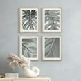 thumbnail image 5 of PixonSign Framed Wall Art Black and Gray Tropical Jungle Palm Leaf Posters, Set of 4 Floral Botanical Canvas Prints, Nature Wilderness Plant Digital Art Wall Décor - 11"x14" Natural, 5 of 5