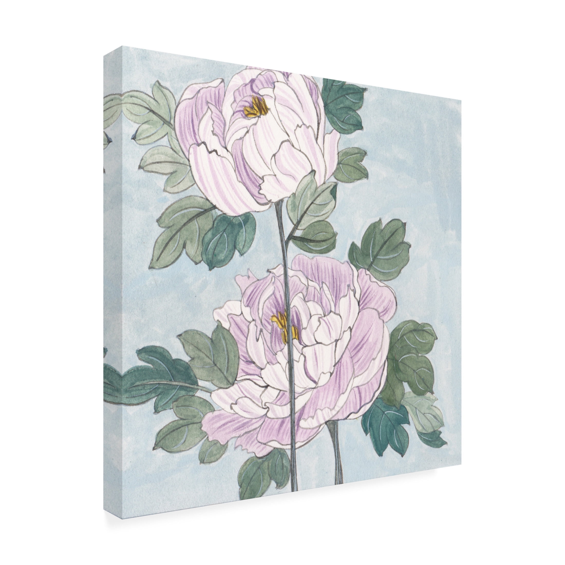 Trademark Fine Art Melissa Wang Striped Peonies IV Canvas Wall Art