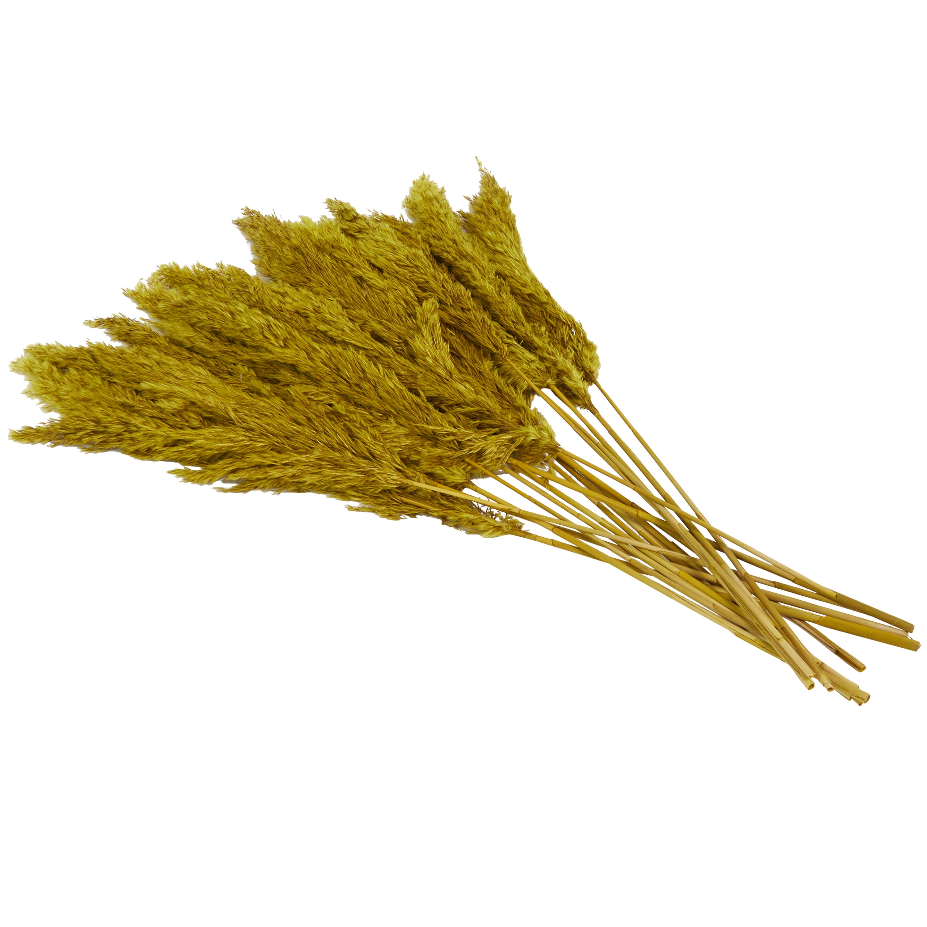 35" Dried Plant Natural Foliage Pampas Bouquet with Long Stems, by DecMode