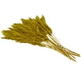 thumbnail image 6 of 35" Dried Plant Natural Foliage Pampas Bouquet with Long Stems, by DecMode, 6 of 8