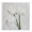 Charming Peony Trio, variant on Stupell Industries Scandinavian Charming White Peony Black Floating Frame Canvas Art, 18 x 18, by Jennifer Rigsby