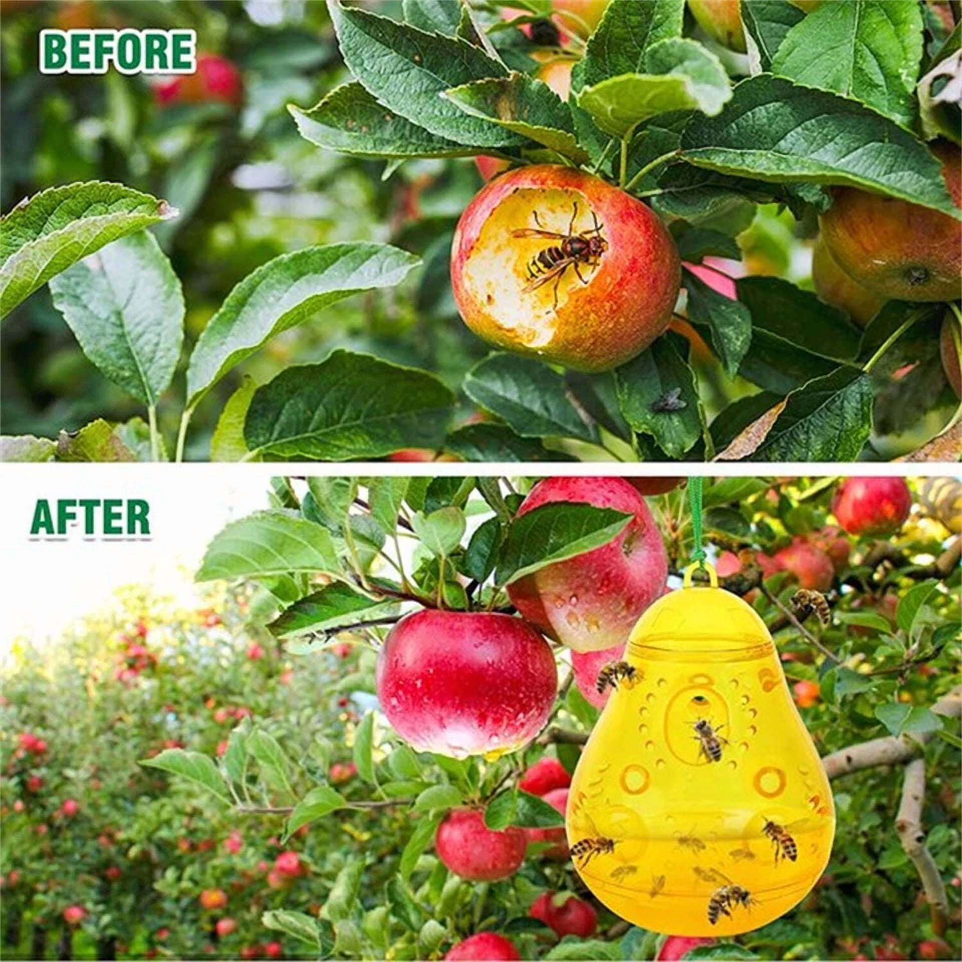 PURELY- Pear-Shaped Bee Trap - Garden, Orchard & Backyard Bee Control Tool