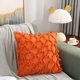 thumbnail image 3 of Funda de almohada Embrace de 2 piezas, funda de cojín para sofá, funda de almohada cuadrada decorativa, funda de almohada de estilo moderno de color sólido, cremallera de 18x18", 3 of 5
