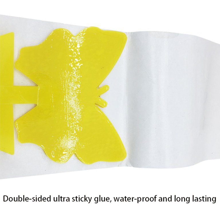 LIGHTSMAX Sticky Bug, Gnat, and Fruit Fly Trap: Yellow Dual Sided Glue  Insect Catcher to Control Bugs Indoor and Outdoor - Traps Fruit Flies,  Aphids and Flying Pests in Potted Plants (25) 