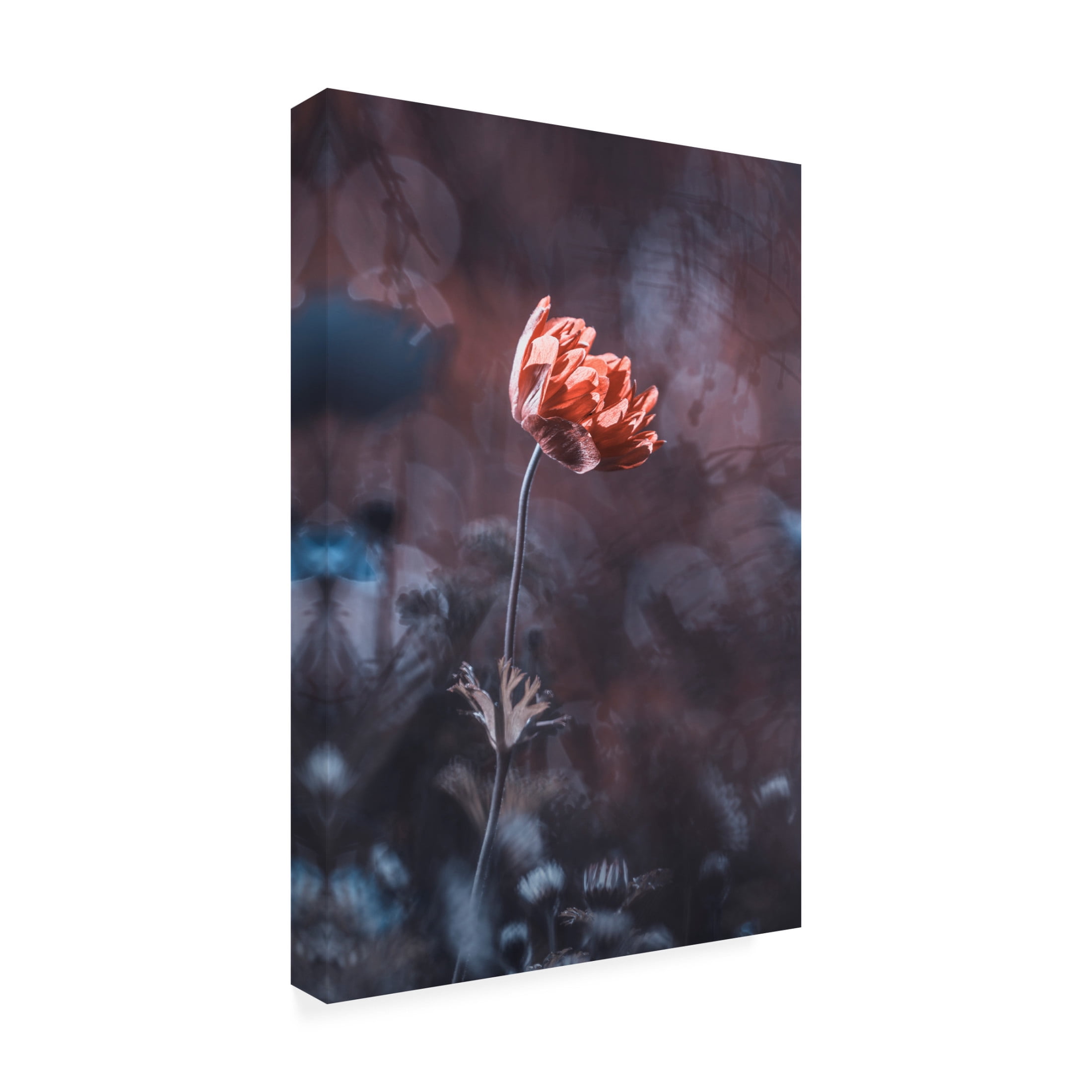 Trademark Fine Art Fabien BRAVIN Elegance Canvas Wall Art