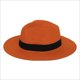thumbnail image 1 of Sombreros Sombrero para el sol con protección contra los rayos Plegable y elegante Sombreros anchos de verano Sombrero para hombre y mujer, 1 of 2