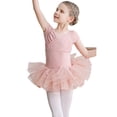 thumbnail image 1 of Rhuody Justaucorps une-Pièce pour Filles Col Rond Justaucorps de Danse Tenue d'Entraînement de Ballet Combinaison d'Été Sans Manches avec Jupe Combinaison de Performance de Danse Tenue Douce Rose 5-6 Ans, 1 of 4