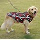 thumbnail image 2 of Abrigo para gatos, chaquetas de invierno cálidas para perros, chalecos cortavientos para la nieve, ropa para perros con orificio para arnés (rojo)., 2 of 5