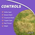 thumbnail image 3 of Bonide Infuse Lawn & Landscape Granular Systemic Disease Control & Fungicide, 7.5lb, 3 of 7