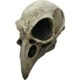 thumbnail image 1 of Crow Skull Mask, 1 of 3