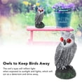 thumbnail image 4 of Jouet Hibou pour Effrayer les Oiseaux, Faux Épouvantails Hibou, Hiboux aux Yeux Rouges en Plastique pour Pigeon, Statue de Hibou en Plastique pour Jardin Extérieur Cour [Chat Coude Blanc Uni], 4 of 8