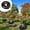 Black, variant on Slow Release Tree Watering Bag, PVC Drip Irrigation Ring for Gardening, Outdoor Plant Care, Efficient Deep Hydration (60cm/23.6in)