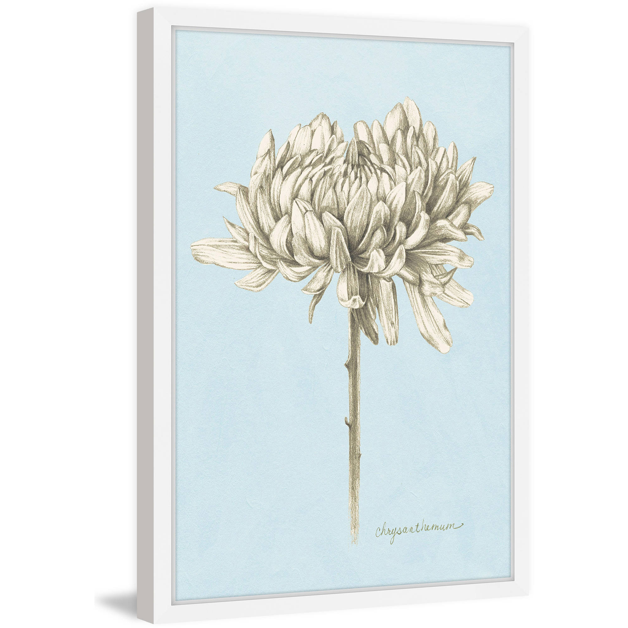 Marmont Hill Botanical Study II Framed Wall Art