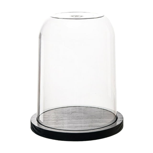 Vitrina de campana de cristal transparente con base de madera para velas 23 cm x 284 cm