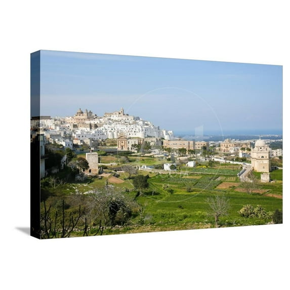 View on the Center of Ostuni, Puglia, Italy, Stretched Canvas Wall Art by Jorisvo Sold by ArtCom