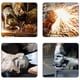 thumbnail image 4 of Discos abrasivos industriales para lijado de superficies y bordes, aptos para amoladoras angulares de 8 V y 12 V, 4 of 5