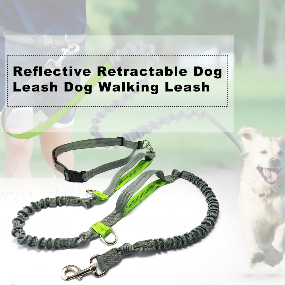 retractable dog leash waist belt