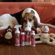 thumbnail image 5 of Champú y Spray Repelente Bio-Groom para Pulgas y Garrapatas para Mascotas, Pack de 2, 5 of 7
