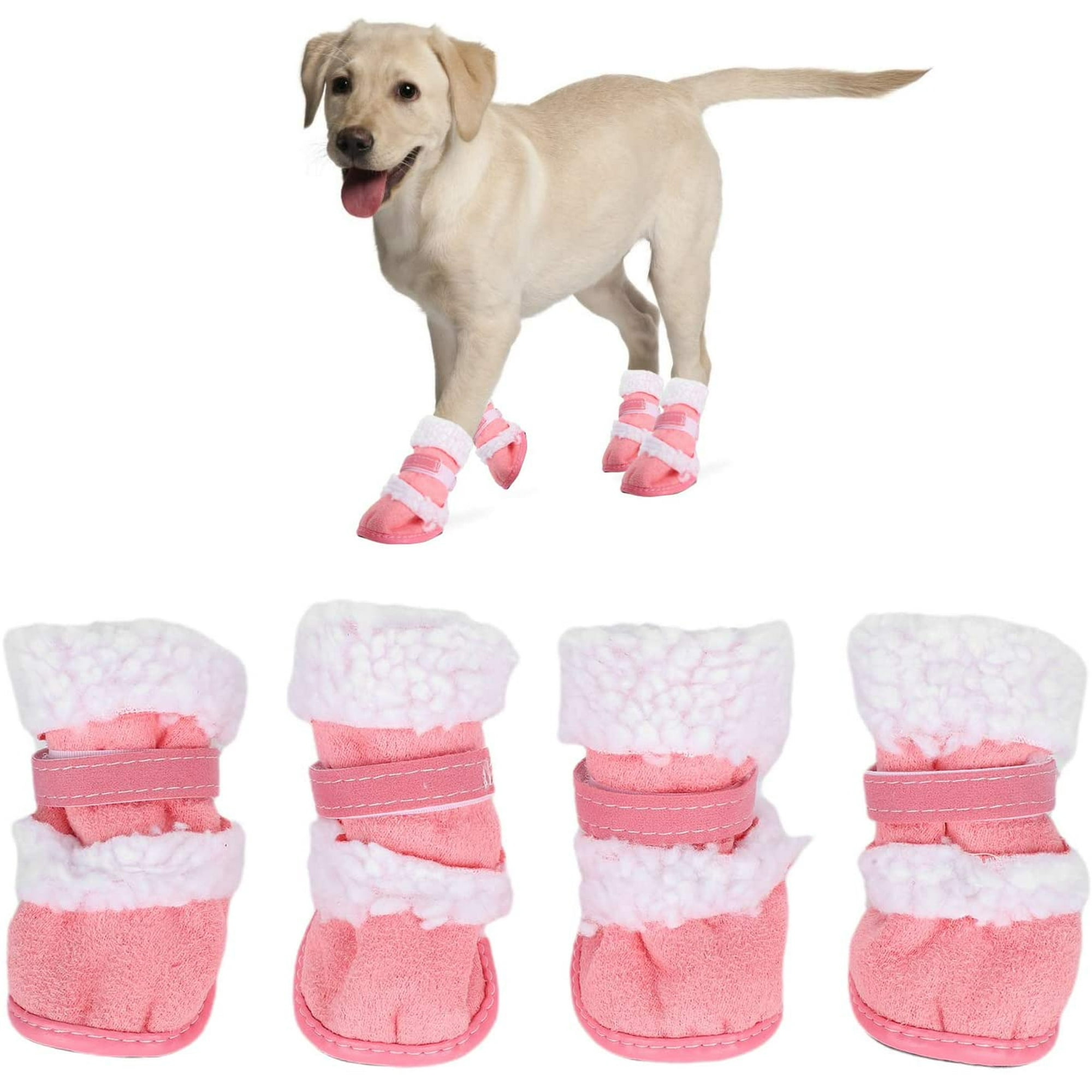 How Can I Keep My Dogs Paws Warm