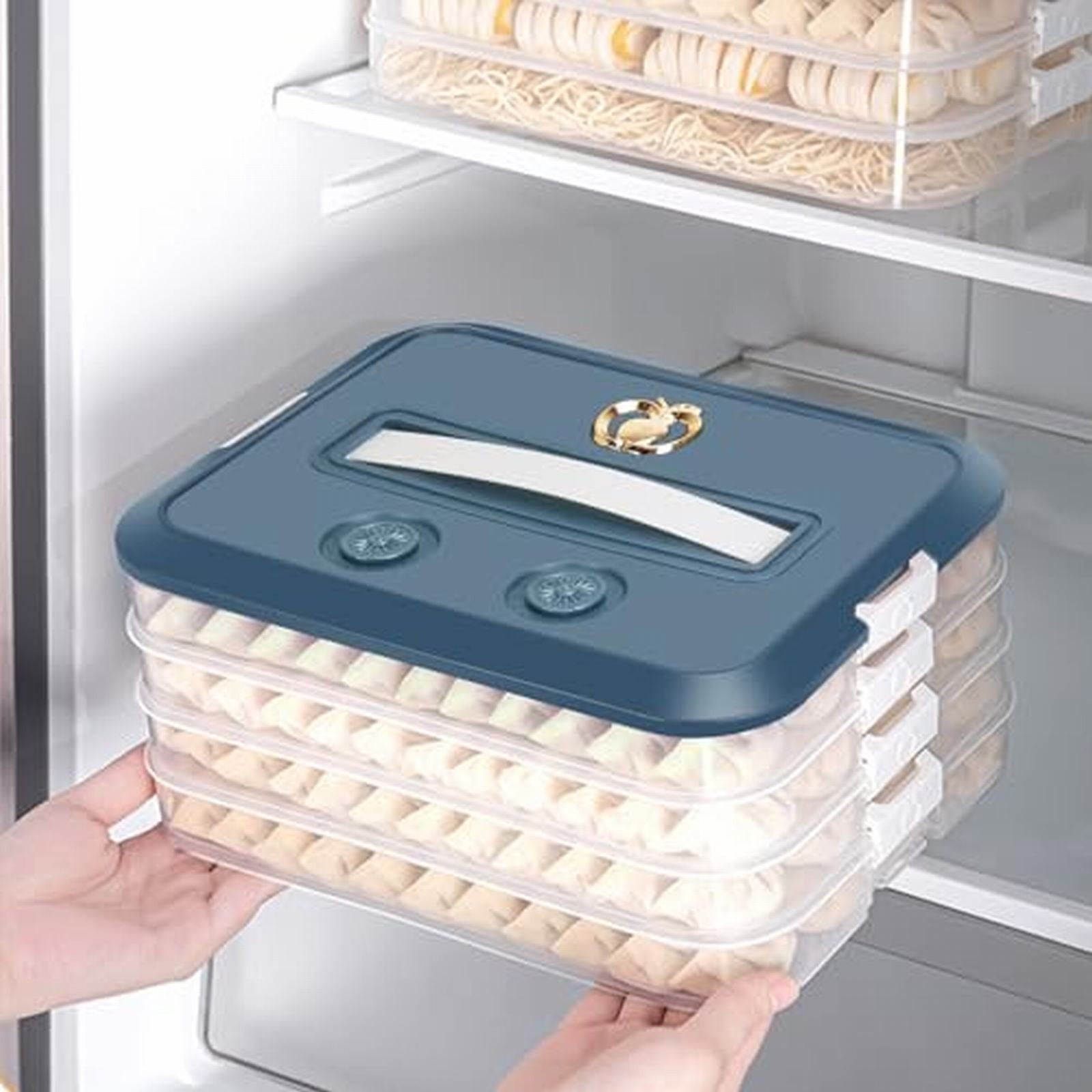 PP Dumpling Box Large Airtight Containers Veggie Tray with Lid Clear Container with Lid Egg Tray for Refrigerator Veggie Containers for Refrigerator Rice Storage Box Egg Case