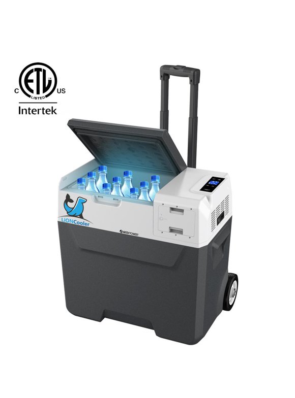 Portable Freezers in Freezers