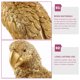 thumbnail image 3 of unbranded Loro Decorativo En Resina Para Embellecer Espacios Con Estilo Y Durabilidad Prolongada, 3 of 5
